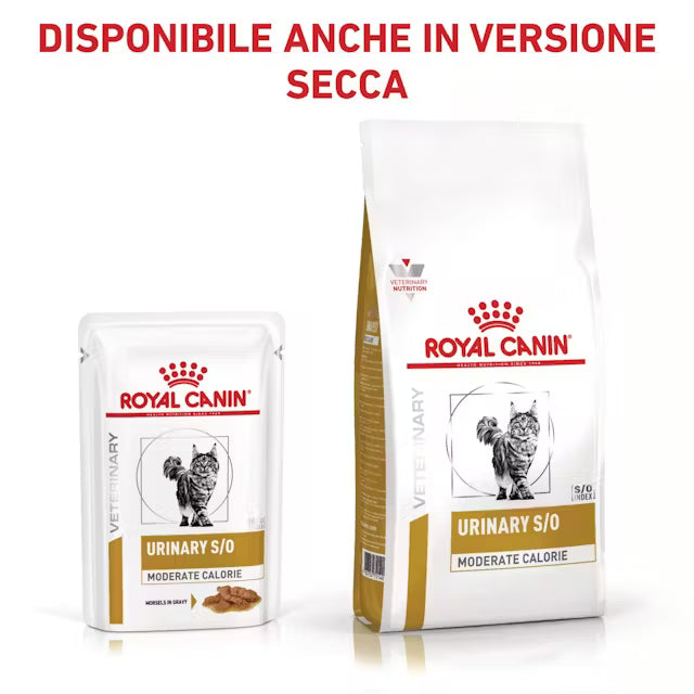 Alimento umido Royal Canin Urinary S/O Moderate Calorie Straccetti in salsa 4x12x85 g per gatti adulti Alimento umido Royal Canin Urinary S/O Moderate Calorie Straccetti in salsa 4x12x85 g per gatti adulti